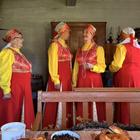 Коми (программа в разработке)