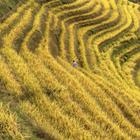 Китай на плотах, лифте и мотоцикле с коляской. Путешествие, от которого захватывает дух