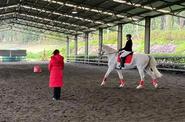 Australia riding lessons