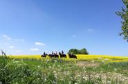 Poland Horseriding
