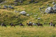 Montenegro Horse Riding