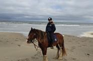 Horse riding in the Netherlands