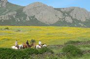Spain Horse Riding