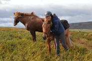Sweden Riding