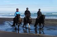 Iceland Horse Riding