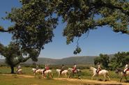 Spain Horse Riding