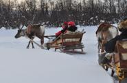 Lapland Travel