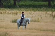Riding along the field 