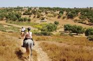 Moroccan countryside