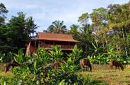 Indonesia Horse Riding
