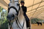 Portugal Riding Lessons