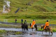 Iceland Horse Riding