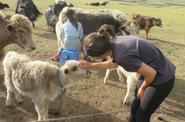 Mongolia Travel