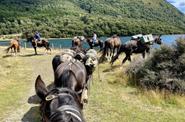 Horse riding tour
