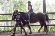 Australia riding lessons