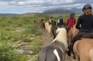 Iceland Horse Riding