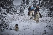 Romania Horse Riding