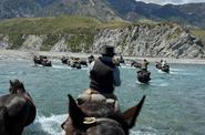 Horse riding in New Zealand