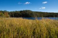 Field by the lake