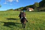 Serbia Horse Riding