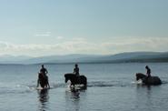 Sweden Riding