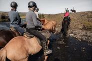 Horseriding tour