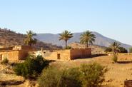 Local landscape 
