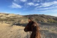 Caucasus Horse Riding