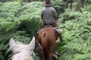 Australia riding