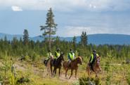 Riding experience