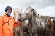 Horses and a rider