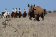 Kenya Riding