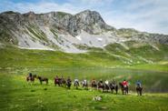 Montenegro Horse Riding