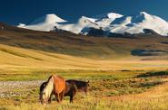 Mongolia Horse Riding