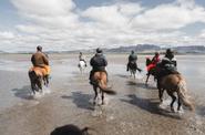 Iceland Horse Riding