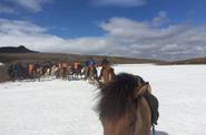 Iceland Riding
