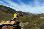 During the ride 