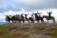 Sweden Riding