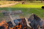 Campfire 
