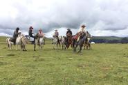 China Horse Riding