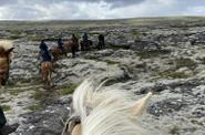 Iceland Horse Riding