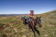 Australia riding