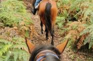 Australia riding