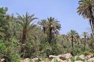Paradise valley 