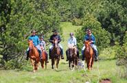 Slovenia Horse Riding