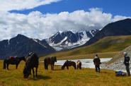 Mongolia Horse Riding