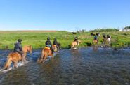 Iceland Horse Riding