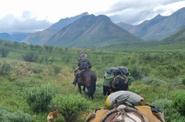 Equestrians exploring the Yukon 