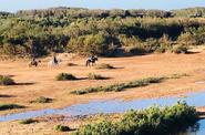 Dunes