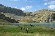 Montenegro Horse Riding